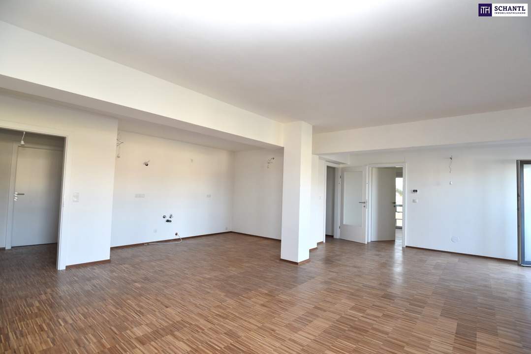 Extravagante, coole moderne und vor allem leistbare 4 Zimmer Wohnung in der Weststeiermark mitten in den Weinbergen - 8113 St. Bartholomä