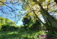 "NEUER PREIS!" AUFGESCHLOSSENER BAUGRUND IN RUHIGER WALDRANDLAGE