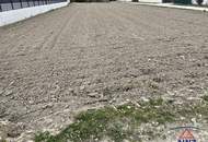 PREISGESENKT: NEUER PREIS! Baugründe in bester Lage!