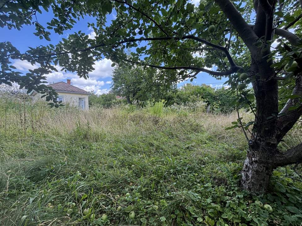 1210! Sonniges Grundstück auf EIGENGRUND in schöner Kleingartenanlage!