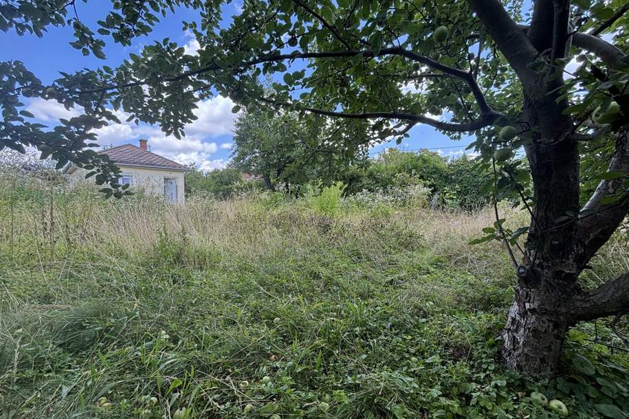 1210! Sonniges Grundstück auf EIGENGRUND in schöner Kleingartenanlage!, Grund und Boden-kauf, 239.000,€, 1210 Wien 21., Floridsdorf