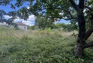 1210! Sonniges Grundstück auf EIGENGRUND in schöner Kleingartenanlage!