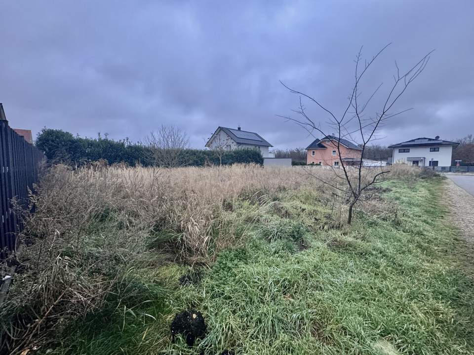 TRAUMGRUNDSTÜCK IN STRASSHOF - SONNIG, RUHIG, ZENTRAL