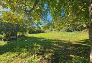 Großzügiges Wohnhaus mit Geschichte und Charme im Zentrum von Teufenbach