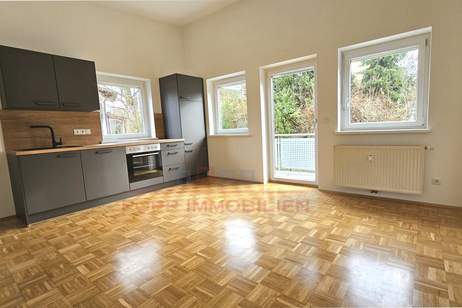 Wunderschön sanierte Wohnung in Andritz mit Terrasse, perfekte Infrastruktur, Wohnung-kauf, 159.000,€, 8045 Graz(Stadt)