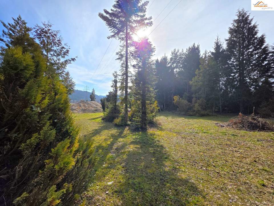 Baugrundstück mit über 2.200m² - Pitten