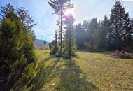 Baugrundstück mit über 2.200m² - Pitten