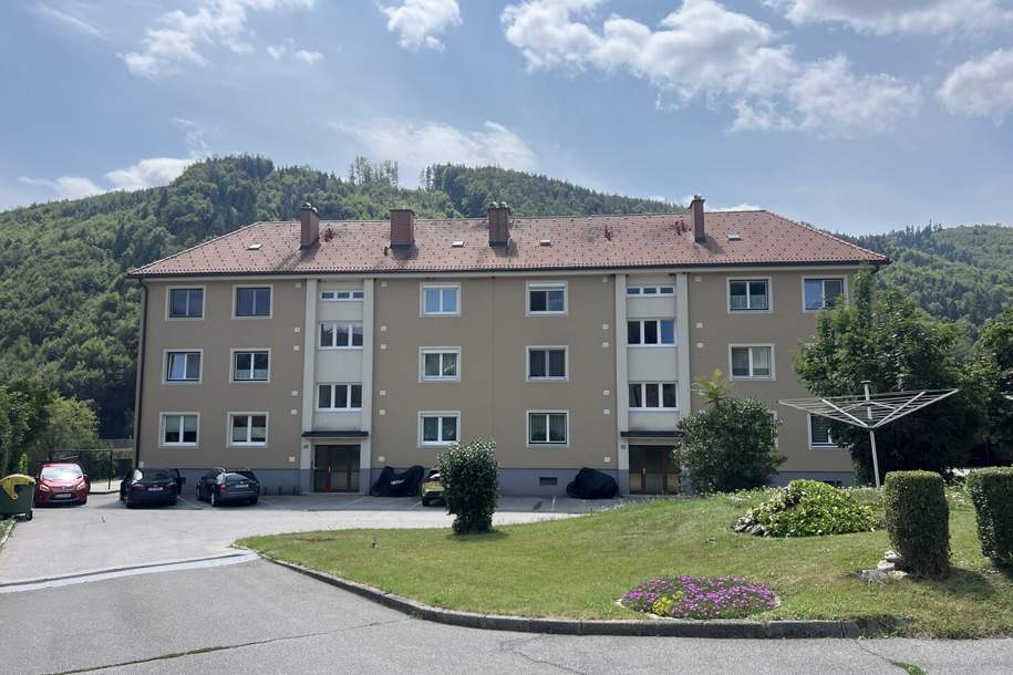 Helle, ruhige 3-Zimmer-Wohnung in Frohnleiten, Wohnung-kauf, 125.000,€, 8130 Graz-Umgebung