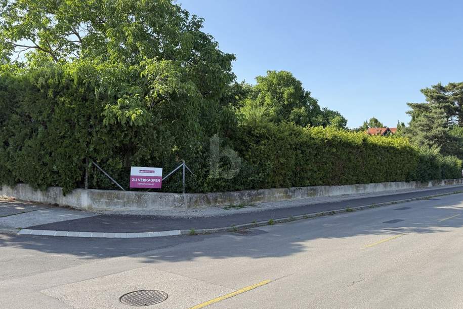PROVISIONSFREI! EBENE ECKPARZELLE MIT ALTBAUMBESTAND UND SEEBLICK, Grund und Boden-kauf, 198.000,€, 7072 Eisenstadt-Umgebung