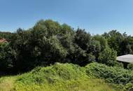 eines der letzten Baugrundstücke in Roithen