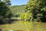 Einzigartige Gelegenheit - Bungalow mitten im Schlosspark Seebenstein