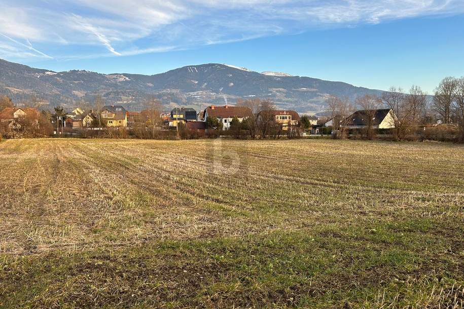 GRUNDSTÜCK AN DER LAVANT, Grund und Boden-kauf, 134.000,€, 9400 Wolfsberg