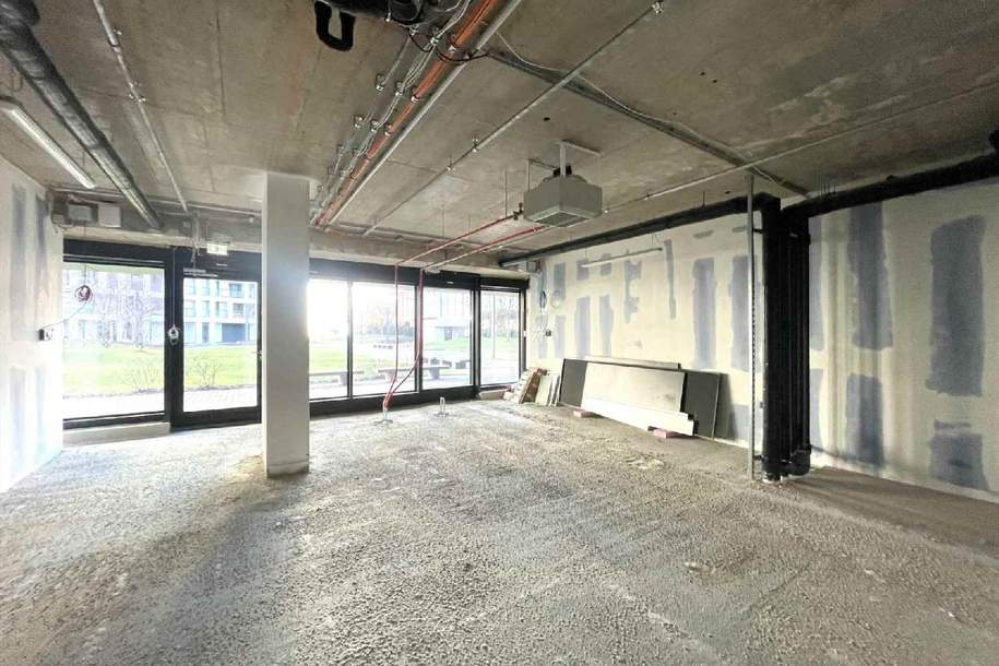 Urbaner Business-Spot: Erstbezug in den DC-Flats – Arbeiten im „Global Village“, Gewerbeobjekt-miete, 2.468,88,€, 1220 Wien 22., Donaustadt