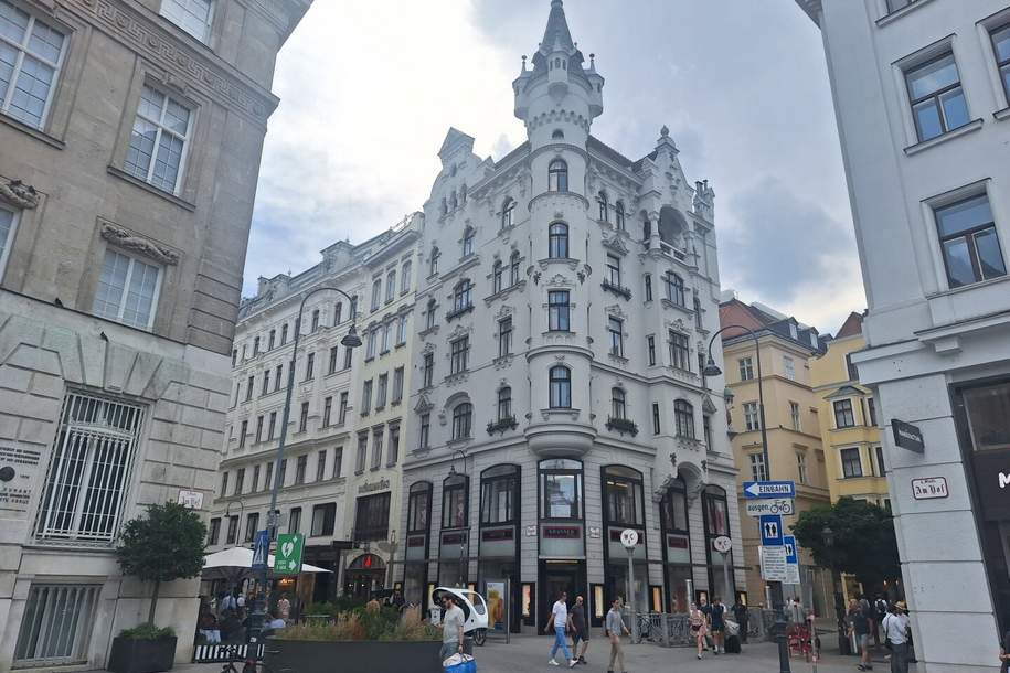 Repräsentative Wohnung in absoluter TOP Lage, Wohnung-miete, 3.420,00,€, 1010 Wien 1., Innere Stadt
