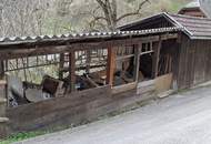 Gepflegtes Haus in idyllischer Lage. Garage und eigene Sauna. Trebesing-Neuschitz.