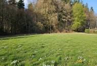 Baugrund in Ruhiger Waldrandlage