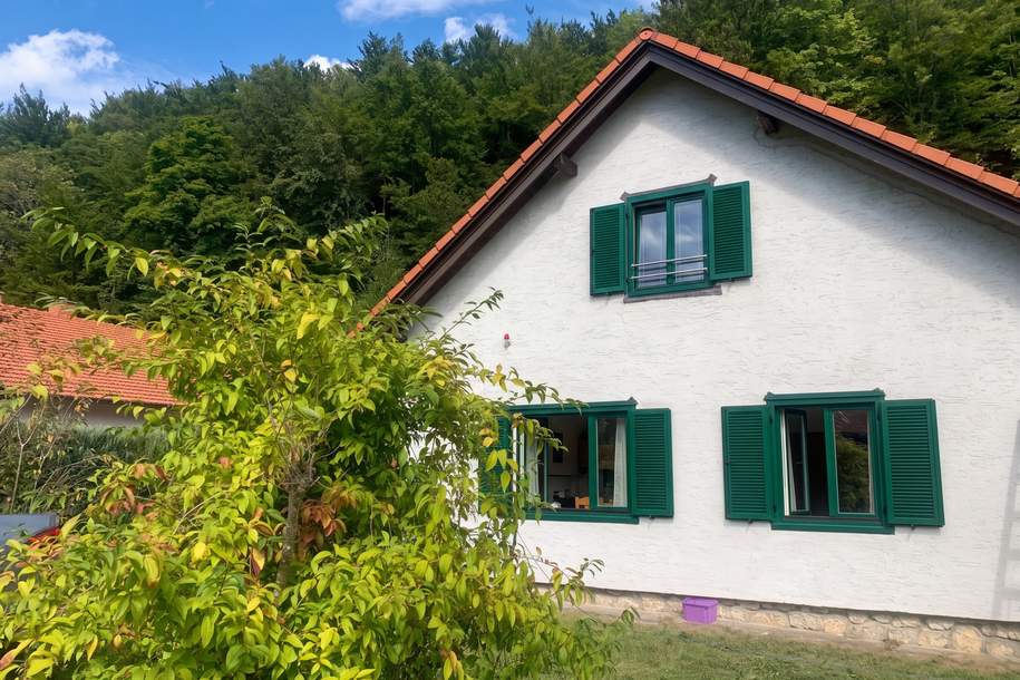 +RESERVIERT+ Haus zur Miete in Reichenau an der Rax, Haus-miete, 1.263,50,€, 2651 Neunkirchen