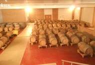 Versteigerung: großzügiger Weinguts-Betriebsstandort mit Hallen und Lagerflächen