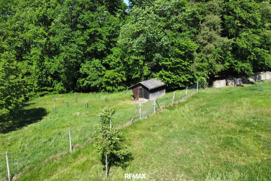 Sonnige Landwirtschaftsfläche mit vielseitigem Potenzial - ideal für Tierhaltung &amp; Naturprojekte, Grund und Boden-kauf, 169.000,€, 8345 Südoststeiermark