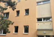 Charmante möblierte Kleinwohnung am Stadtrand von Wien - Perchtoldsdorf