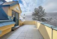 Südwest-Dachterrasse inkl. Blick ins Grüne I 3,20m Raumhöhe I Stellplätze verfügbar I freier Mietzins