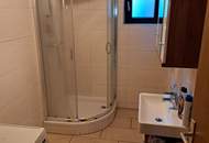 "2 Häuser Preiswert beim Traunsee - Altmünster - Reindlmühl, Natur pur etwas abseits des Trubels"