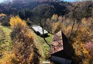 Preisanpassung !! Weingarten mit Landwirtschaft und Altbestand in Kranach, Gemeinde Gamlitz