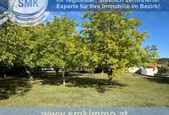 Ein besonderes Grundstück für Naturliebhaber!