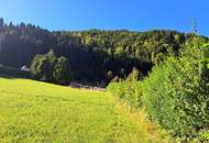 Großzügiges Baugrundstück in Reichraming