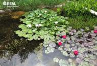 Schlichtes "Amerikanerhaus" mit prachtvollem Naturgarten, Schwimmteich und mit 2 separaten Wohneinheiten !