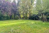 KLEIN UND SMART - DORT WO DIE TRAUBEN HÄNGEN