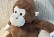 Urbanes Leben und Naturgenuss – Ihre Zukunft in den PARK FLATS