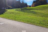 Baugrundstück in ruhiger, naturnaher Lage ohne Bauzwang