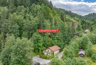 Geräumiges Einfamilienhaus in idyllischer Lage