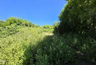 Gmunden: Absolute Rarität im Villenviertel! Unbebautes Grundstück mit etwas Seeblick in Bestlage!