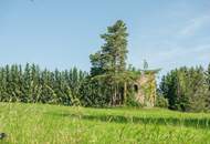 Zum Verkauf steht ein zusammenhängendes Landwirtschafts- und Waldgrundstück mit Holzhaus