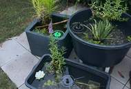 +++ Idyllisches Ferienhaus auf Pachtgrund ( NEUWERTIG ) in Oggau am Neusiedler See – Ihr Rückzugsort für nur 48.500 € +++