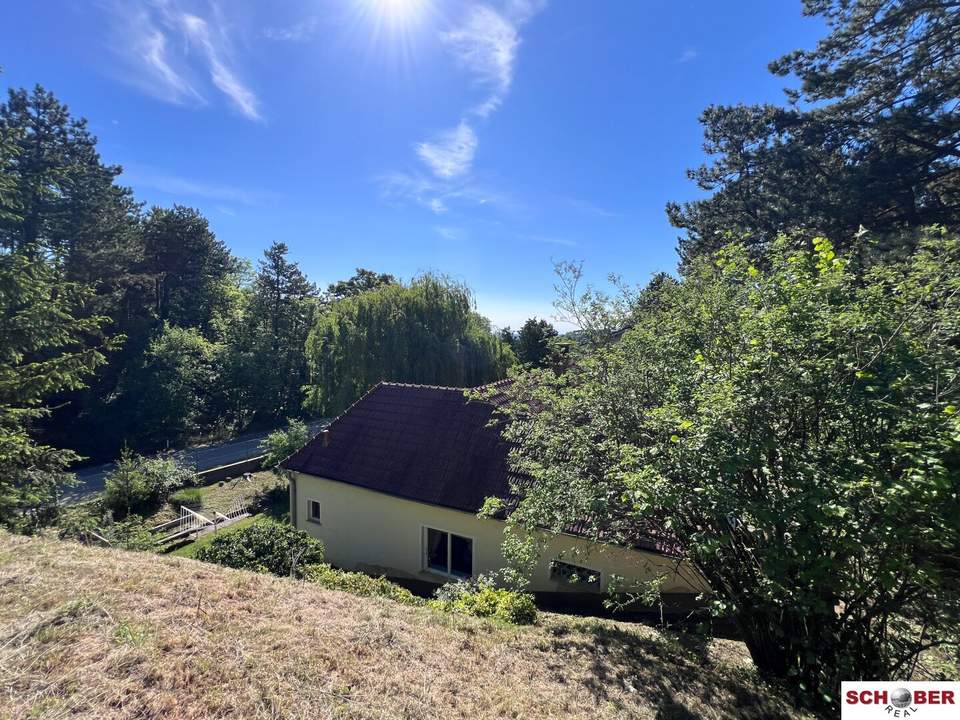 Großes Grundstück mit Haus in außergewöhnlicher Waldrandlage
