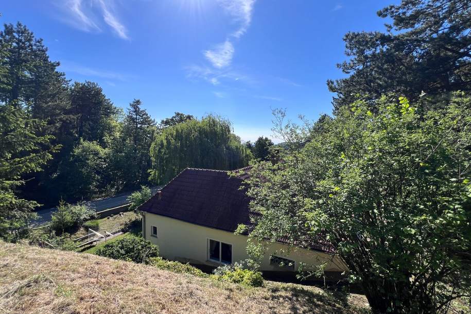 Großes Grundstück mit Haus in außergewöhnlicher Waldrandlage, Haus-kauf, 490.000,€, 2551 Baden