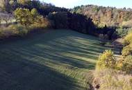 Großes an Bauland grenzendes Grünland-Grundstück bei Emmersdorf!