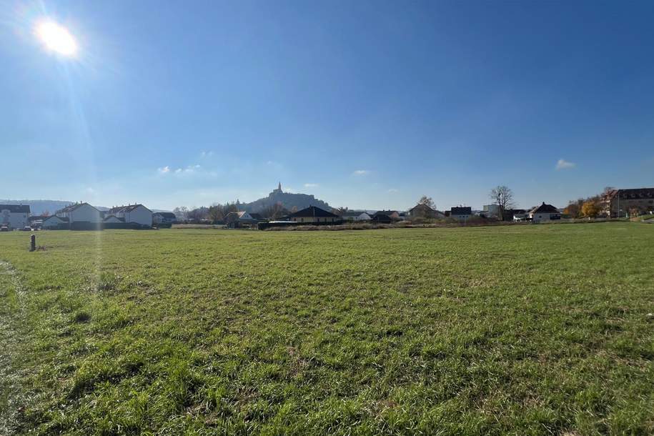 Großes Baugrundstück (ca. 1 ha) in Güssinger Ortsrandlage!, Grund und Boden-kauf, 570.000,€, 7540 Güssing