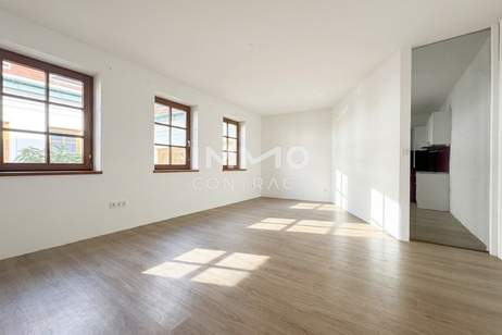 Wohnjuwel in Nußdorf: Charmante Wohnung in ruhiger Innenhoflage!, Wohnung-kauf, 249.000,€, 1190 Wien 19., Döbling