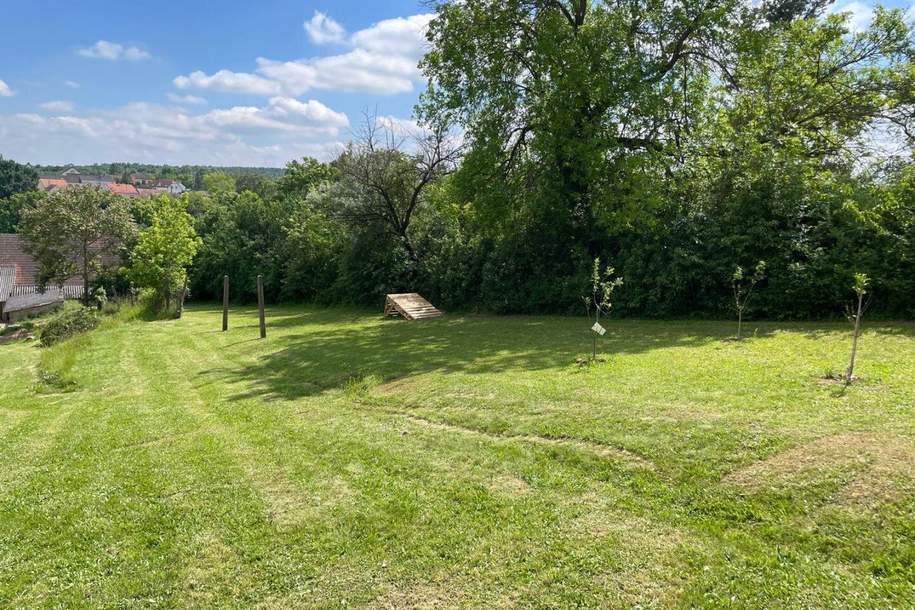 Leben im Grünen: Nachhaltige Liegenschaft mit Bauernhaus viel Land und Selbstversorger-Potenzial!, Haus-kauf, 349.000,€, 2251 Gänserndorf