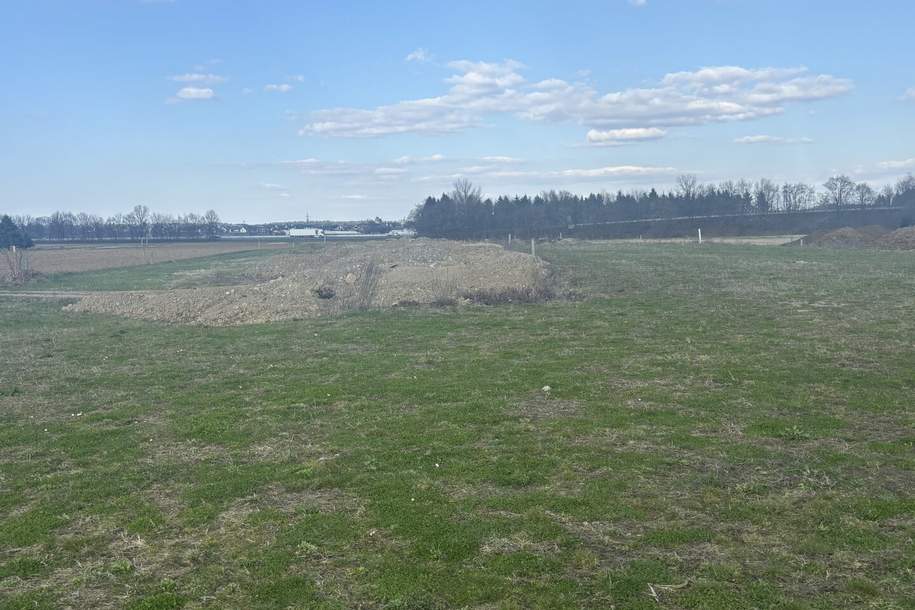 ++ LAGE, LAGE ++ GEWERBEGRUNDSTÜCK an der A9 AUTOBAHNABFAHRT bzw. -AUFFAHRT ST. VEIT VOGAU ++ TEILUNG MÖGLICH ++ BD KG 0,2 - 1,0, Grund und Boden-kauf, 1.900.000,€, 8472 Leibnitz