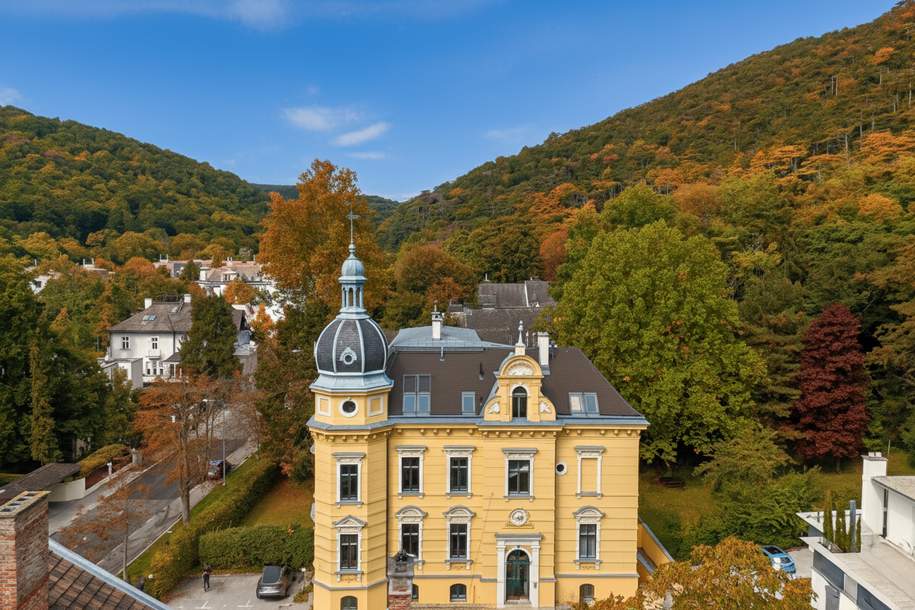Aktion: Provisionsfrei! Historische Villa mit 3 DG-Einheiten inkl. Dachterrassen I 2012 DG Ausbau inkl. Lift I Grünlage, Wohnung-kauf, 2500 Baden