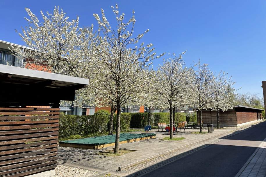 Ihr Start in die eigenen vier Wände – Willkommen in der SolarCity Linz!, Wohnung-kauf, 269.000,€, 4020 Linz(Stadt)