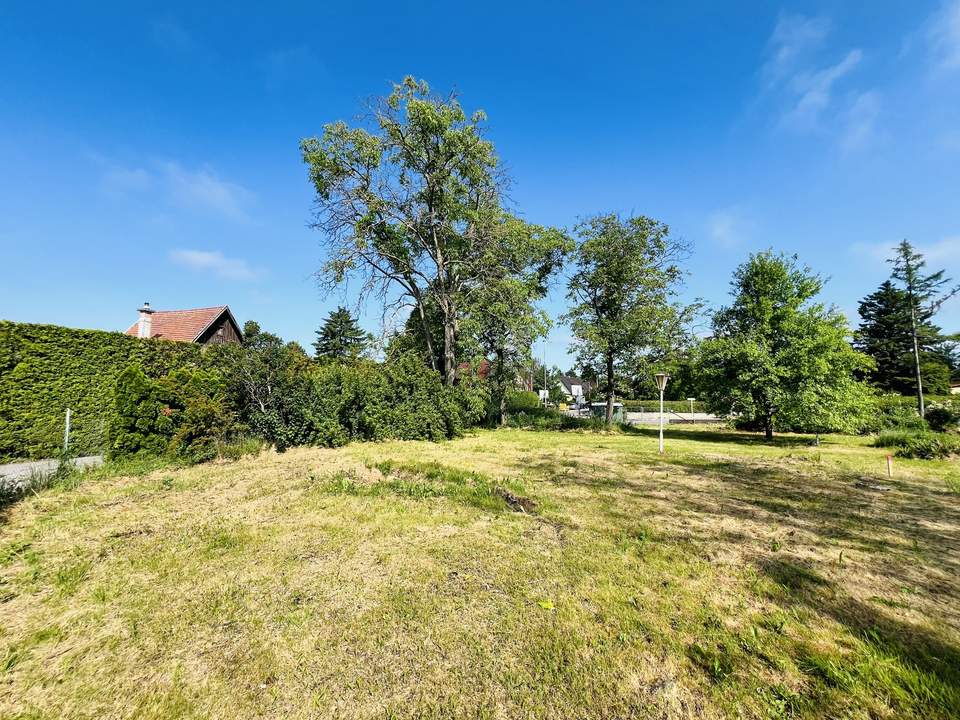 Baugrundstück Nr 2. in toller Lage