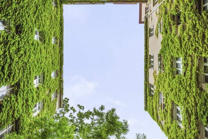 Provisionsfreie 4-Zimmer-Wohnung beim Schloss Belvedere, Wohnung-kauf, 785.000,€, 1040 Wien 4., Wieden