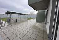 einen Katzensprung von Wien entfernt MIETE