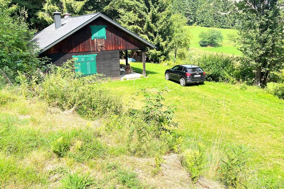 Ferienhaus/Alleinlage in absoluter Ruhelage am Waldrand (Provisionsfrei), Haus-kauf, 238.000,€, 9342 Sankt Veit an der Glan